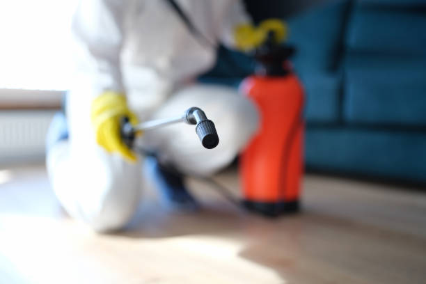 Environmental Consulting for Mold Prevention in Hoboken, NJ