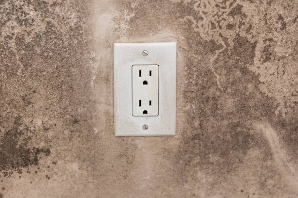 Mold Documentation for Insurance Claims in Hoboken, NJ