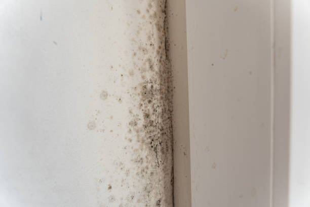 Best Indoor Air Quality Assessment  in Hoboken, NJ
